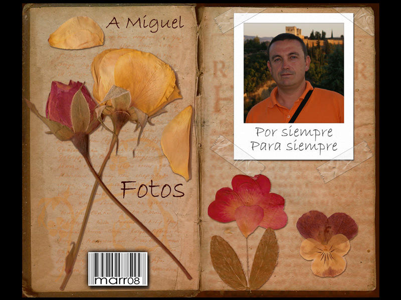 Miguel Angel Ramirez Rodriguez